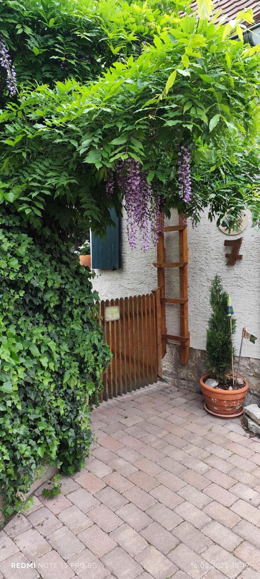 Ferienwohnung Geiernest Ochsenfurt Buitenkant foto